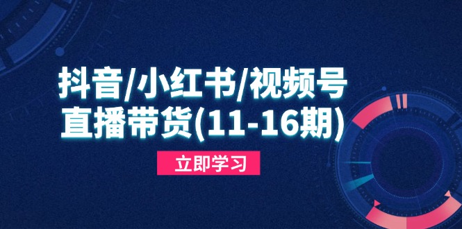 （14611期）抖音/小红书/视频号/直播带货(11-16期)，快速掌握平台规则，打造爆款内容 - 爱分享爱分享-fenxiang爱分享