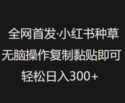 全网首发，小红书种草无脑操作，复制黏贴即可，轻松日入3张 - 爱分享爱分享-fenxiang爱分享