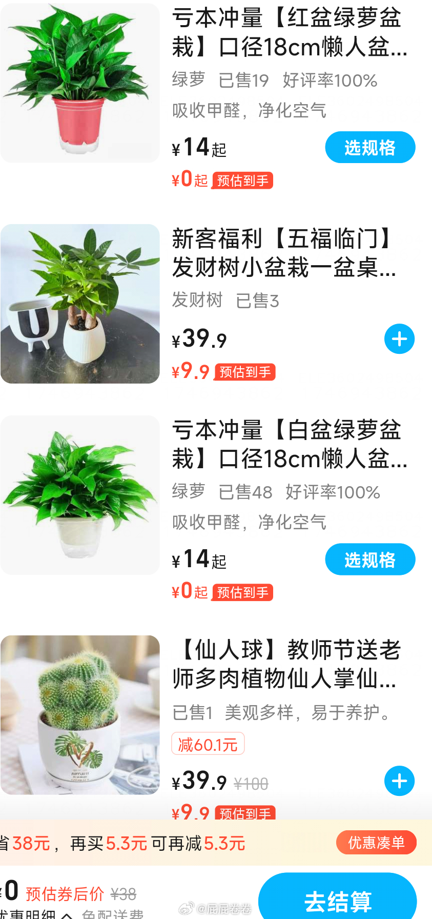 30-30买花太贵 可以考虑盆栽爱分享-fenxiang爱分享