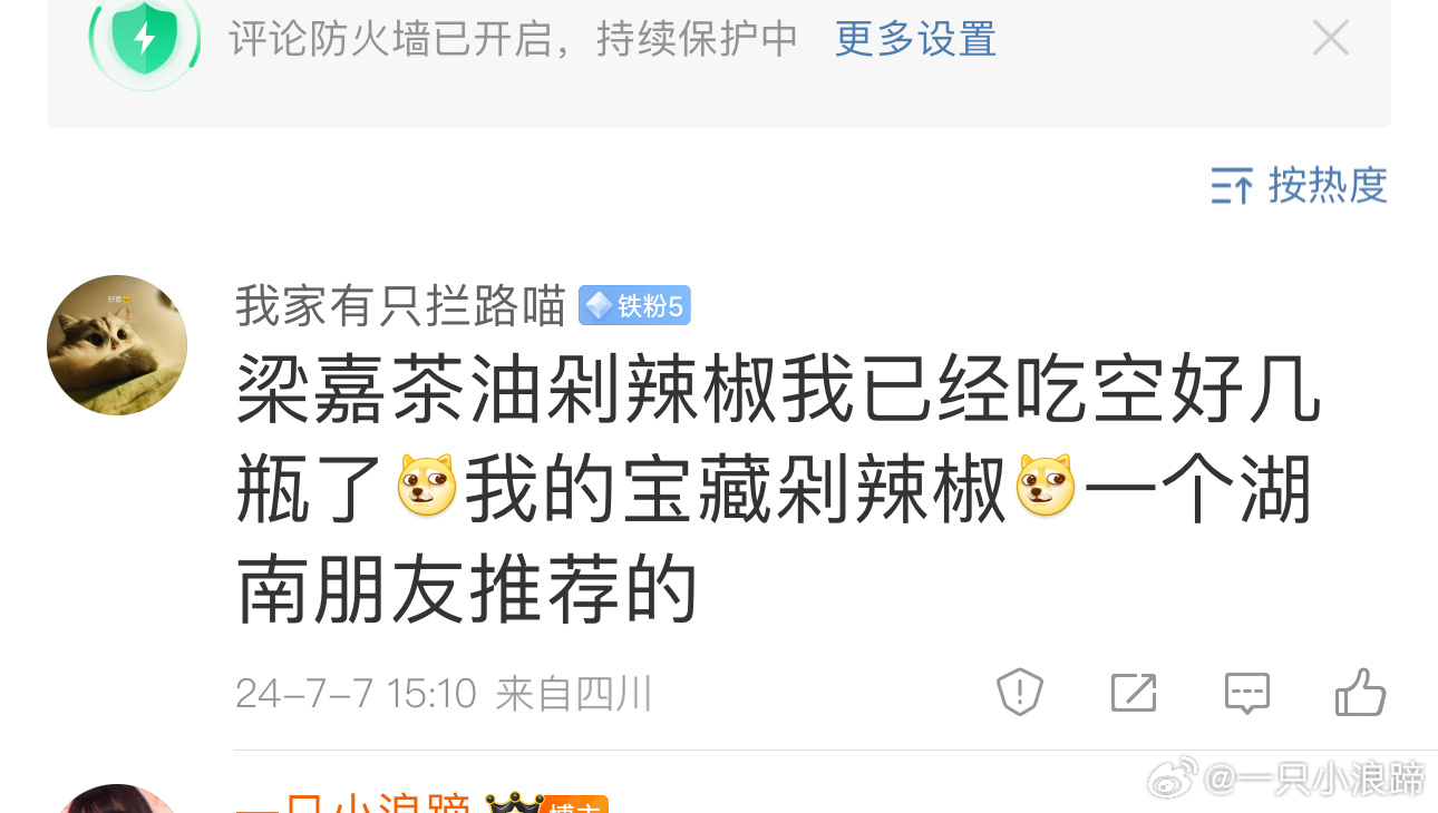 梁嘉茶油萝卜丁 剁椒酱都好吃 推荐过～正宗的湖南剁辣椒 炒饭拌饭都可以 用13左右一瓶 - 线报酷