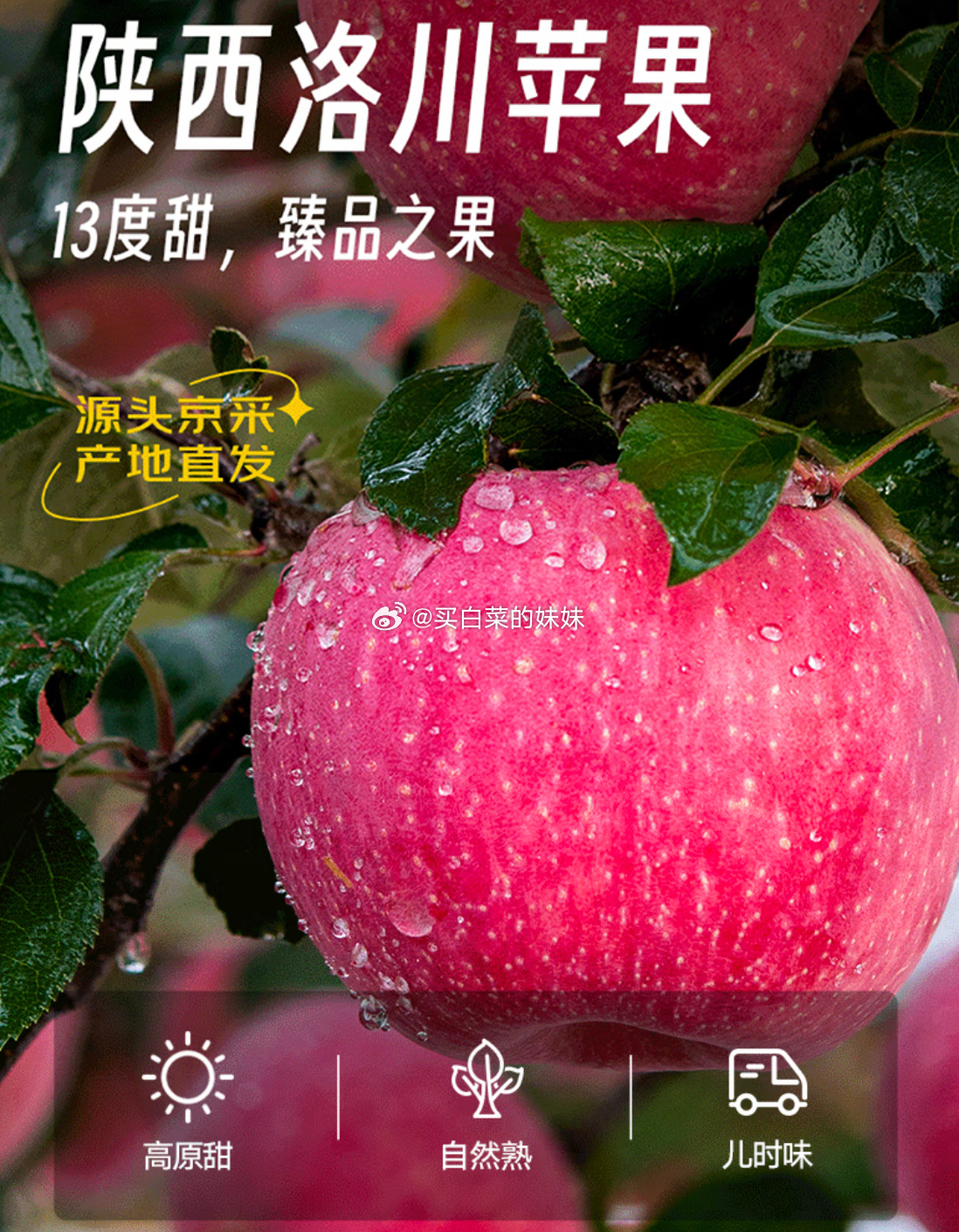 苹果Plus 48.26 每件24.13 这款好吃的~ 200-20超市卷 app直bo间右下角领49-5卷 - 线报酷 苹果Plus 48.26 每件24.13 这款好吃的~ 200-20超市卷 app直bo间右下角领49-5卷 - 线报酷