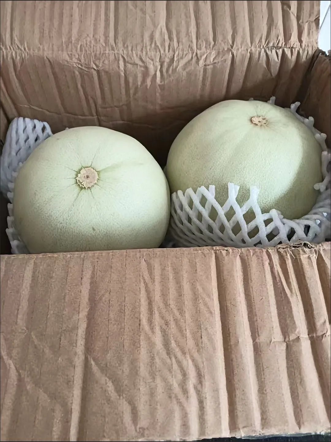 玉菇甜瓜 4.7-5斤带箱 15.9爱分享-fenxiang爱分享