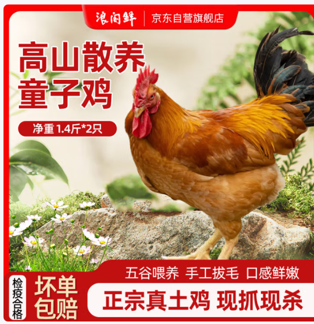 浪阁鲜 散养童子鸡1.4斤*2只 领 拍 浪阁鲜散养童子鸡 2只净重2.8斤 新鲜现杀土鸡走地鸡小公鸡 - 线报酷 浪阁鲜 散养童子鸡1.4斤*2只 领 拍 浪阁鲜散养童子鸡 2只净重2.8斤 新鲜现杀土鸡走地鸡小公鸡 - 线报酷