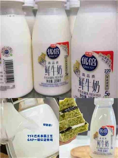 光明 优倍鲜牛奶185ml*12瓶 卷后38.9亓 折3.2/瓶 *巴氏杀菌 5种鲜活营养爱分享-fenxiang爱分享