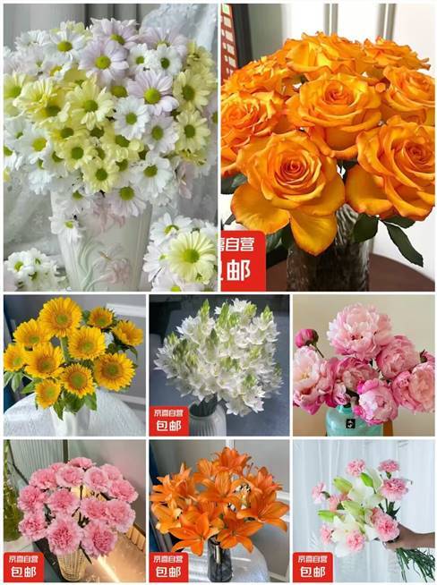 7亓 小雏菊鲜花5支 8.9亓 向日葵鲜花6支 8.9亓 绿毛球雀梅混搭10支 9.9亓 - 线报酷 7亓 小雏菊鲜花5支 8.9亓 向日葵鲜花6支 8.9亓 绿毛球雀梅混搭10支 9.9亓 - 线报酷