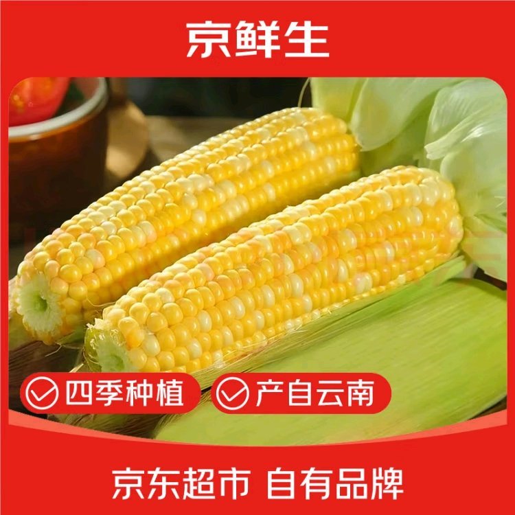 京鲜生 云南水果玉米净重5斤 15.9亓自营包邮 日常24.9亓 *单支300g+爱分享-fenxiang爱分享