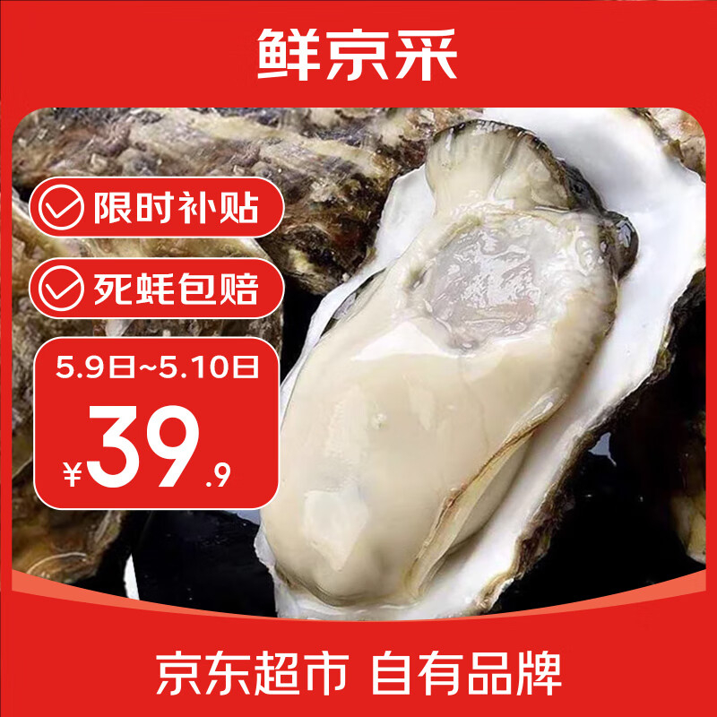JD 39.9 鲜京采 生蚝5斤 5XL 百亿补贴活动 到手9-12只 个大肥美爱分享-fenxiang爱分享