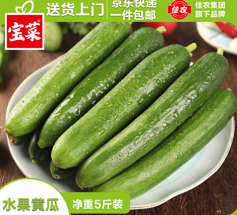 JD 10.42 佳农 宝菜山东荷兰水果黄瓜 净重5斤 小青瓜单果80g+ 包邮的爱分享-fenxiang爱分享
