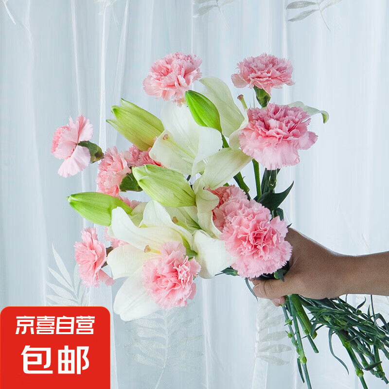 JD 16.30 京喜.随机康乃馨20枝+随机百合5朵 包邮活动 他家的自辨哈~爱分享-fenxiang爱分享