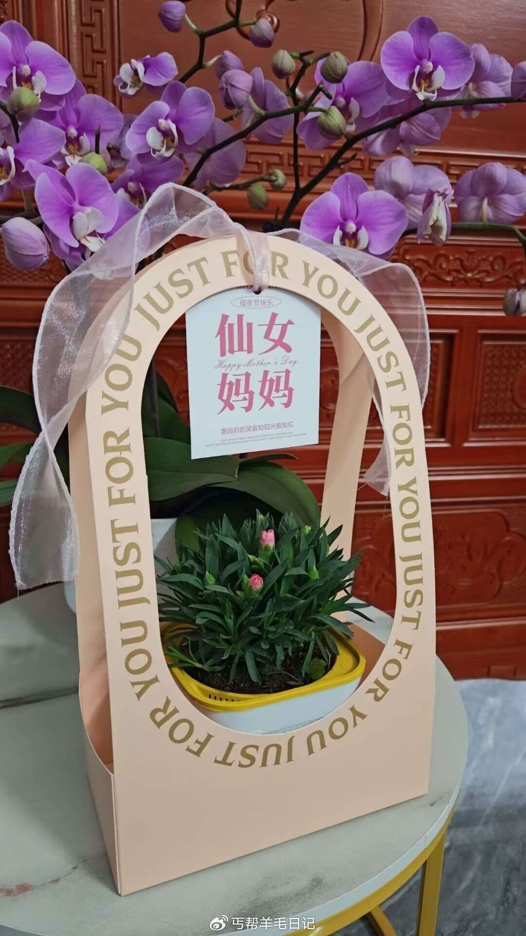 猫超好运抽的反馈到了爱分享-fenxiang爱分享