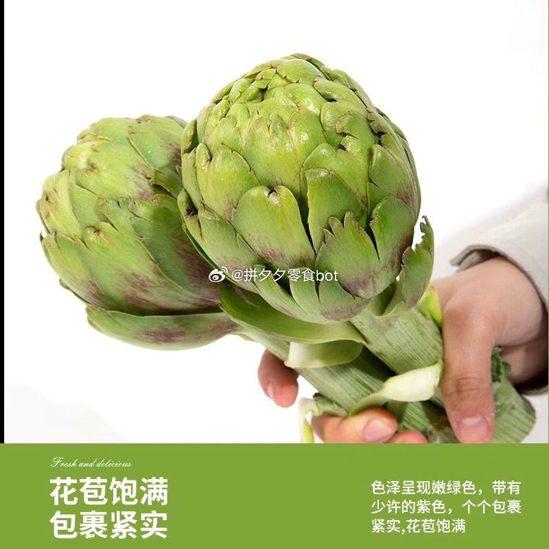 洋蓟500g 10.8 这个怎么吃呀~爱分享-fenxiang爱分享