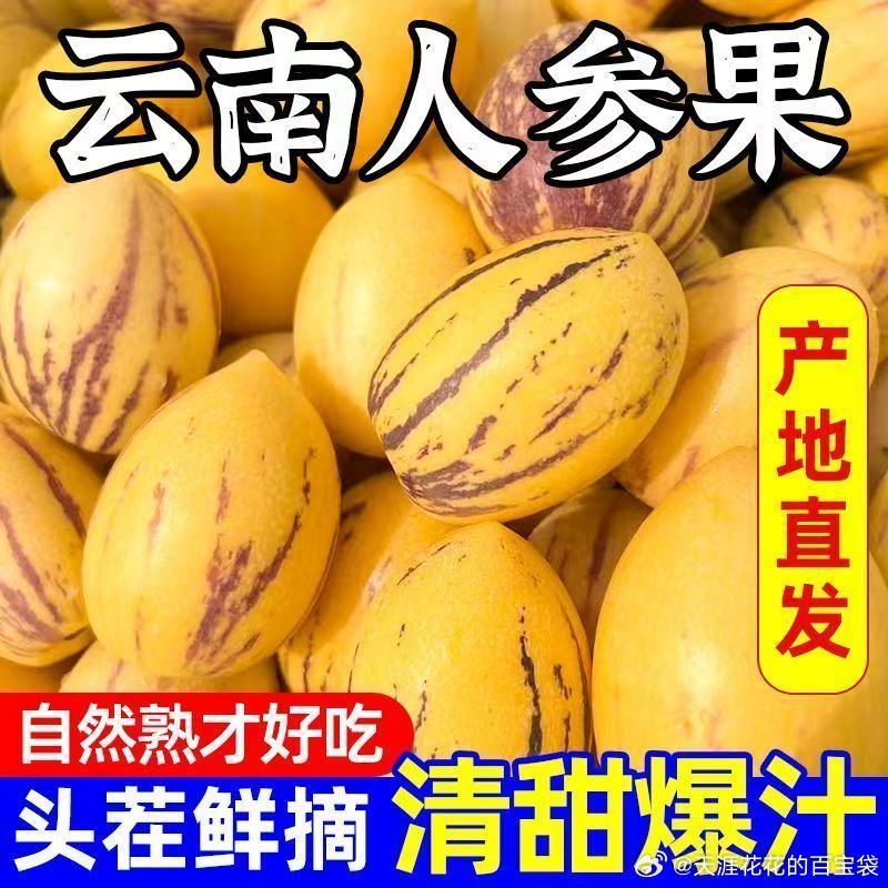 拼多多 云南人参果5斤中果 20.5爱分享-fenxiang爱分享