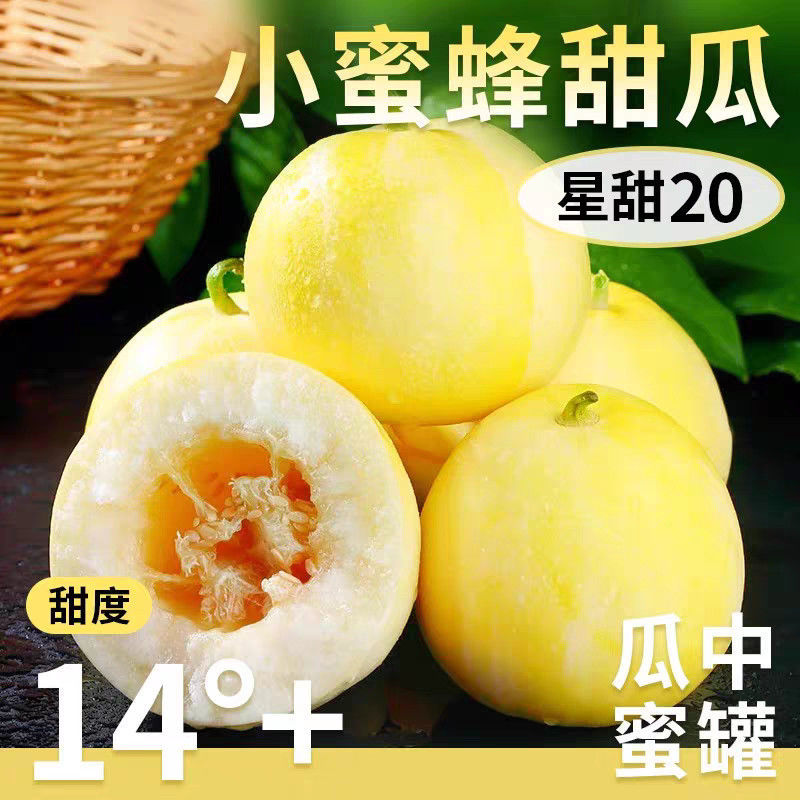 拼多多 山东小蜂蜜小香瓜带箱5斤 21.9爱分享-fenxiang爱分享