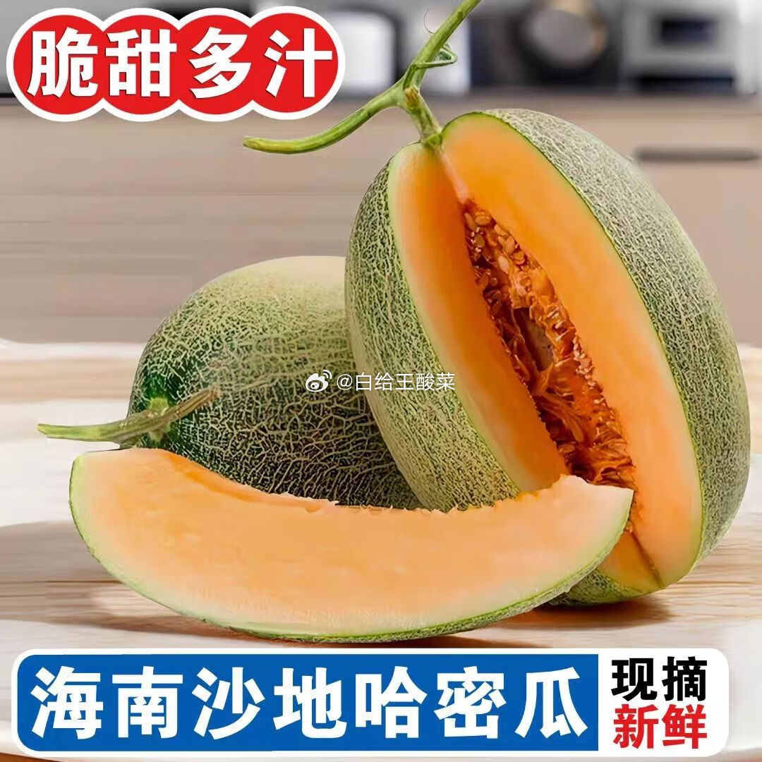 陇百味 净重海南哈密瓜4-5斤 陇百味正宗海南哈密瓜 甜瓜爆汁甜瓜新鲜水果当季现摘瓜生鲜水果爱分享-fenxiang爱分享