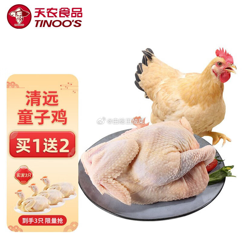 天农 清远岭南童子鸡600-800g 天农食品清远岭南童子鸡冷冻供港黄羽鸡新鲜无抗鸡肉农家散养土鸡清蒸烤鸡爱分享-fenxiang爱分享